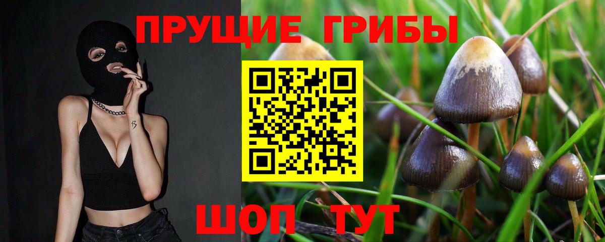 Псилоцибиновые грибы Cubensis  Вход с VPN  Галлюциногенные грибы Magic Shrooms  Тосно 