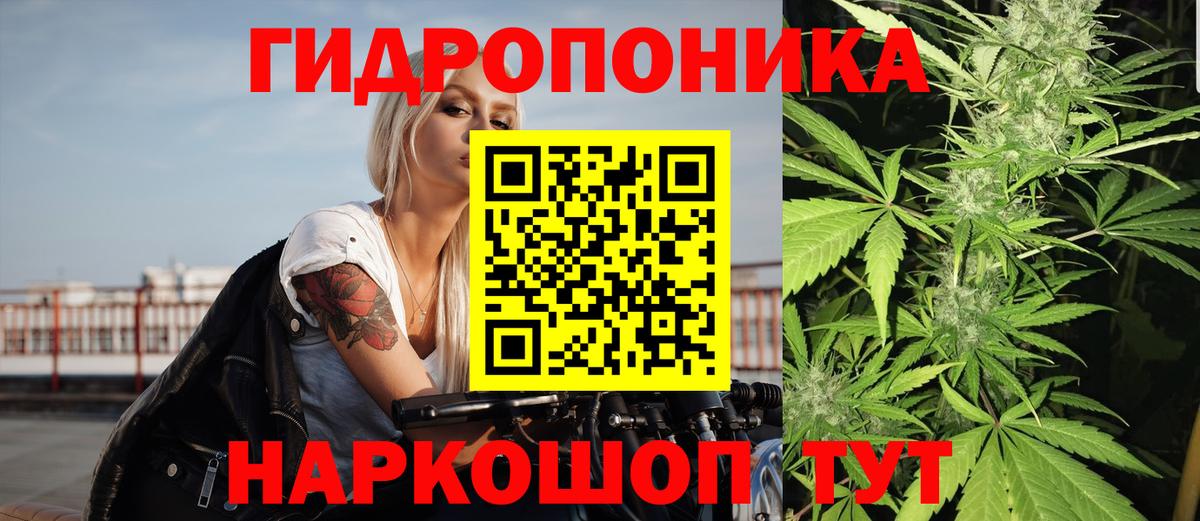Шишки марихуана марихуана  Каннабис сатива  Тосно  МАРИХУАНА Bruce Banner  Вход с VPN  Канабис Amnesia 